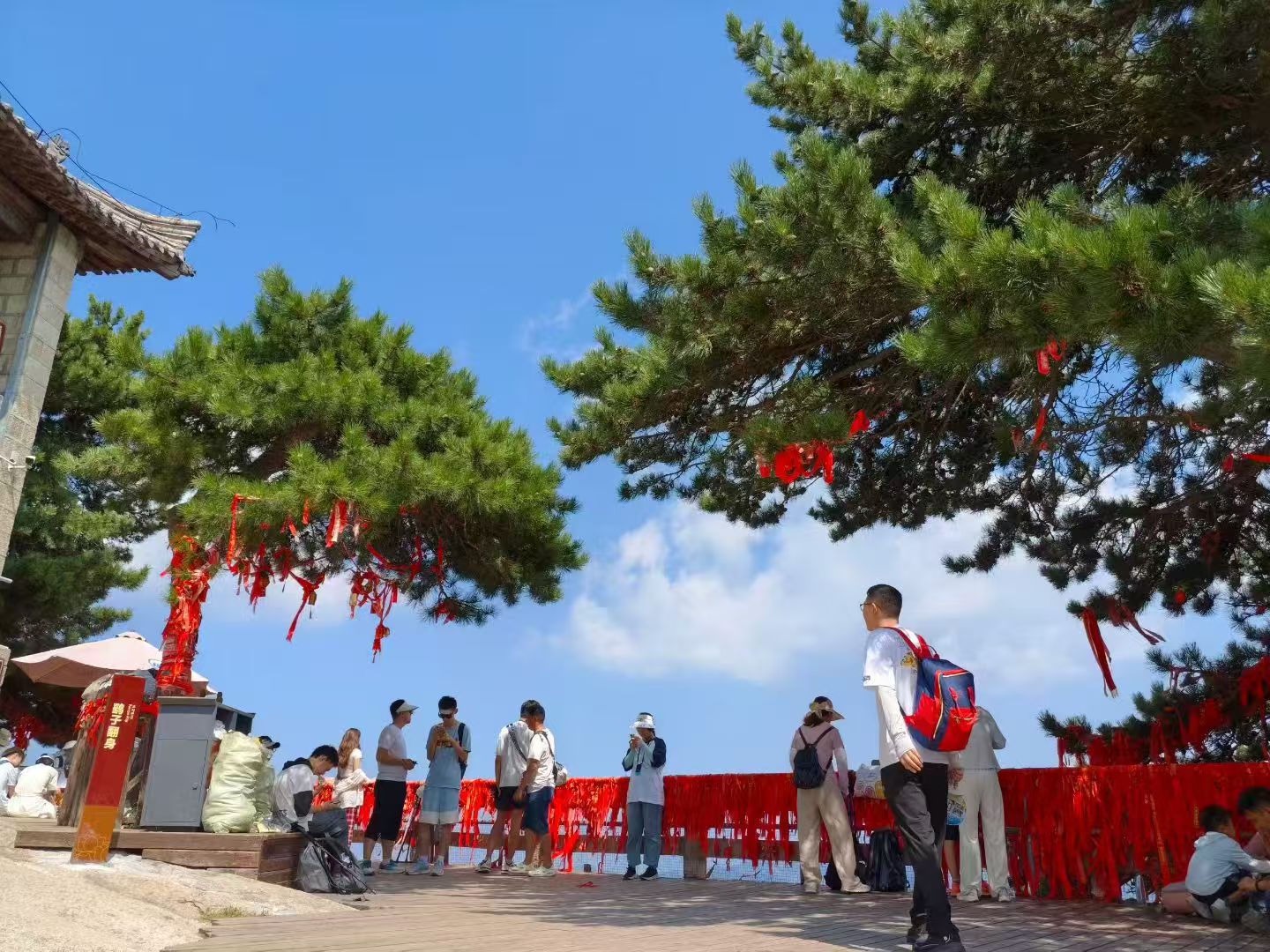 景区女司机逆行顶撞交警:剑盾法律网聚焦执法权威与公民守法边界(图1) 景区女司机逆行顶撞交警:剑盾法律网聚焦执法权威与公民守法边界(图1)