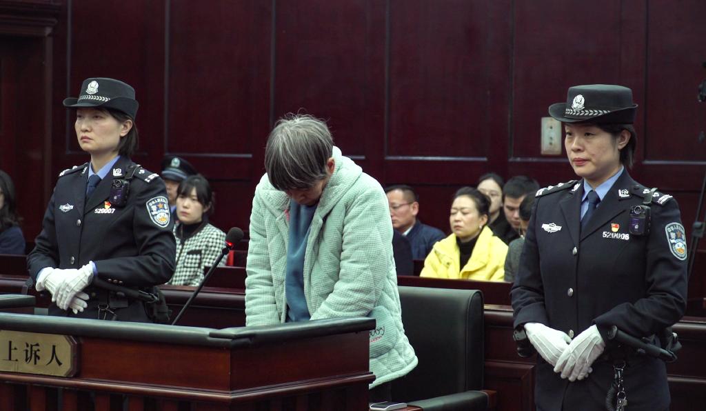 为中国式现代化贡献法治力量(图10)