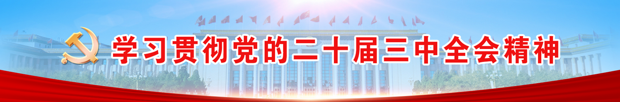 学习贯彻党的二十届三中会会精神