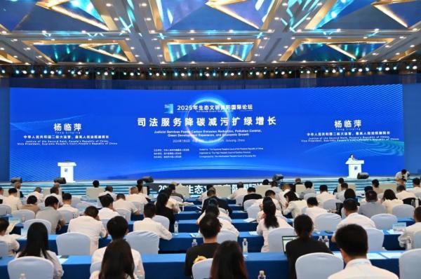中国环资审判，缘何成为全球环境法治“优等生”？(图1)