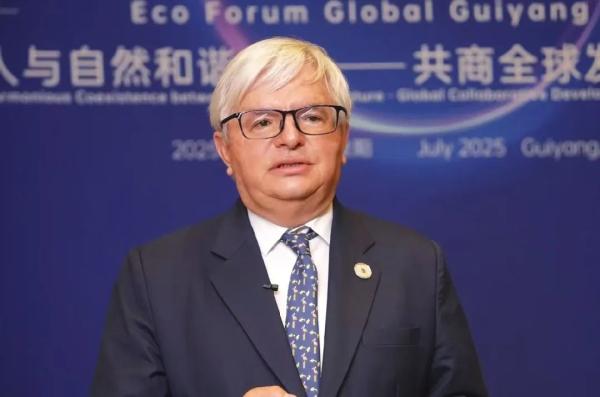 中国环资审判，缘何成为全球环境法治“优等生”？(图4)