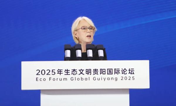 中国环资审判，缘何成为全球环境法治“优等生”？(图5)