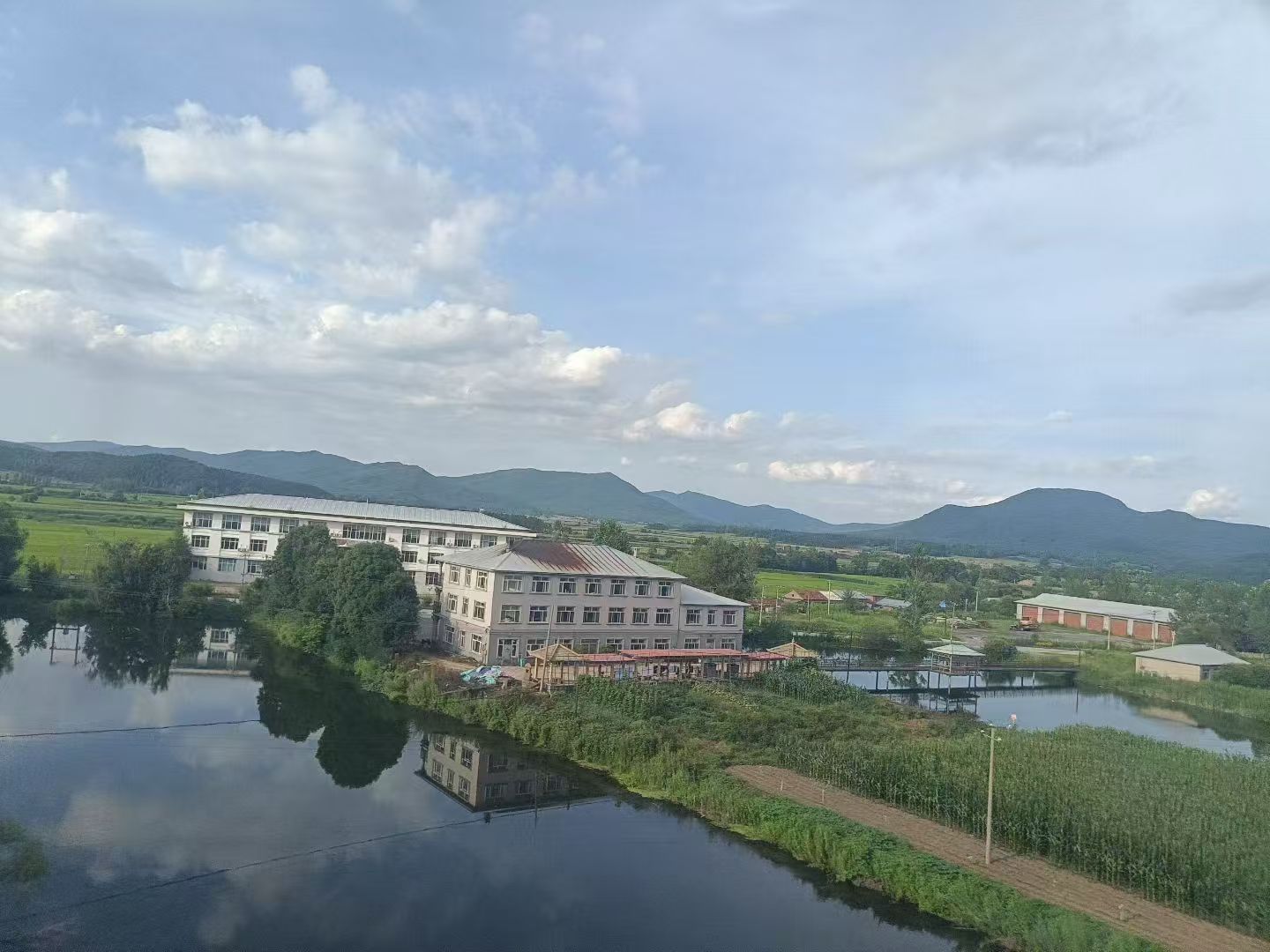 台风来袭下的城市治理：法治力量筑牢安全防线