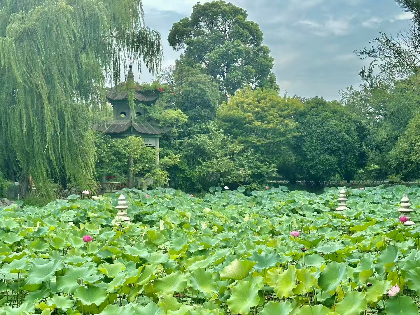 剑盾法律网聚焦：少林寺变革，寺庙经营法治化之路开启？