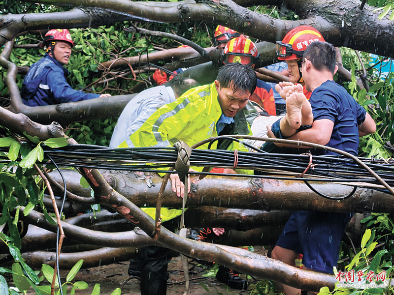 漳州民警辅警救出被树压住母女 (图1)