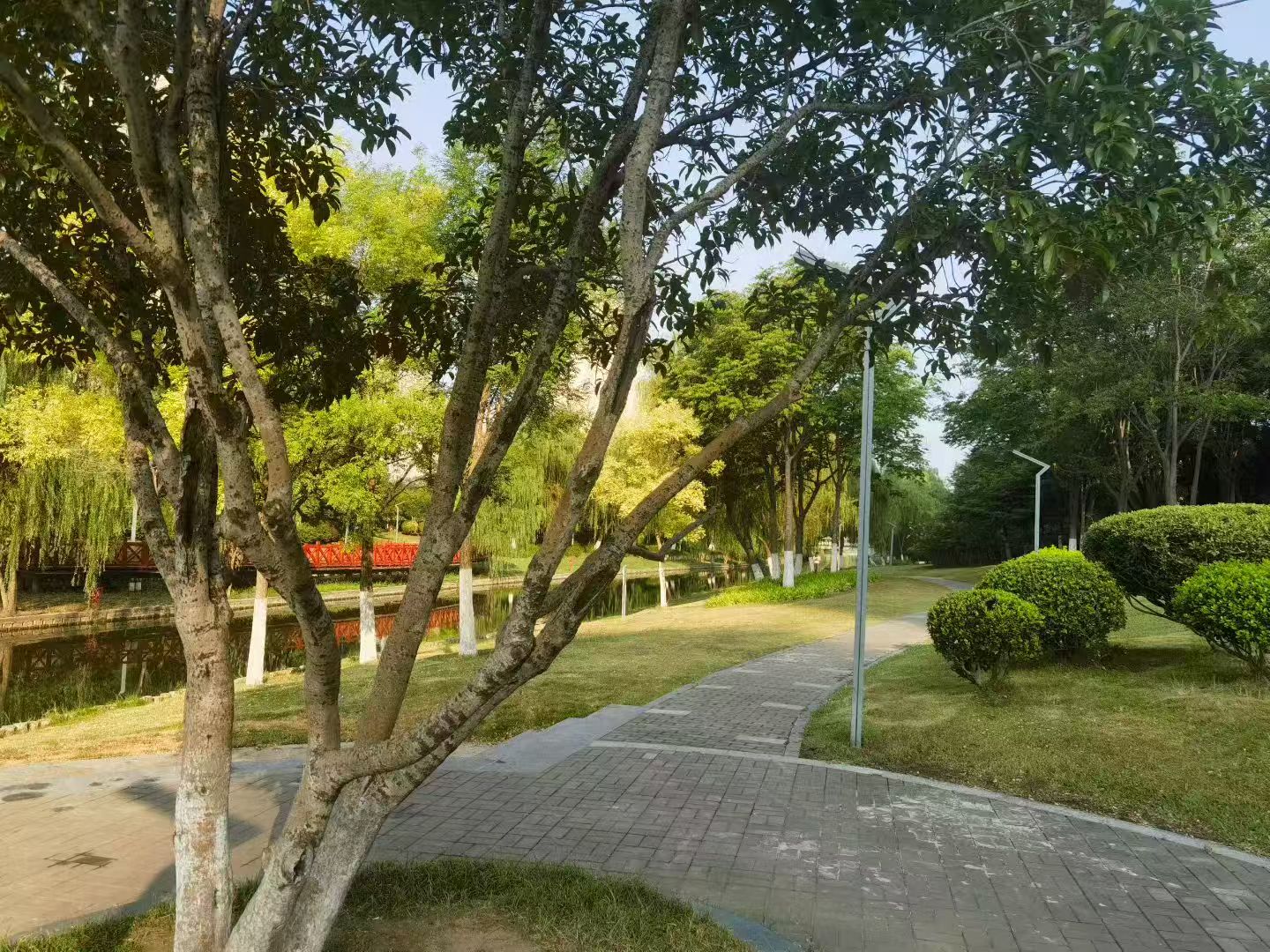 江油未成年人校外被殴事件：彰显法治力量，守护少年成长