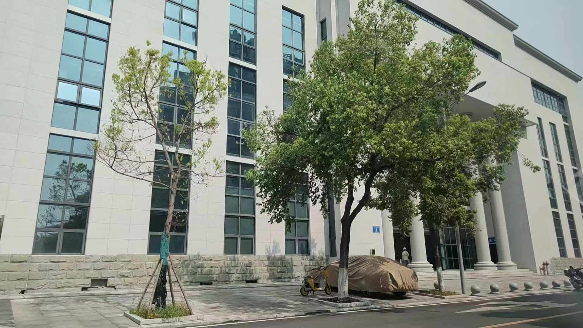 法治为基，筑牢爱国卫生运动防线