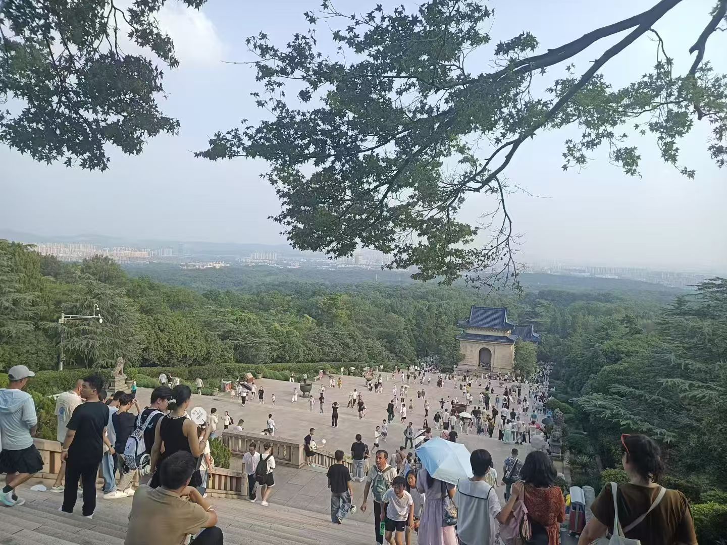 法治亮剑，筑牢文明乘车防线
