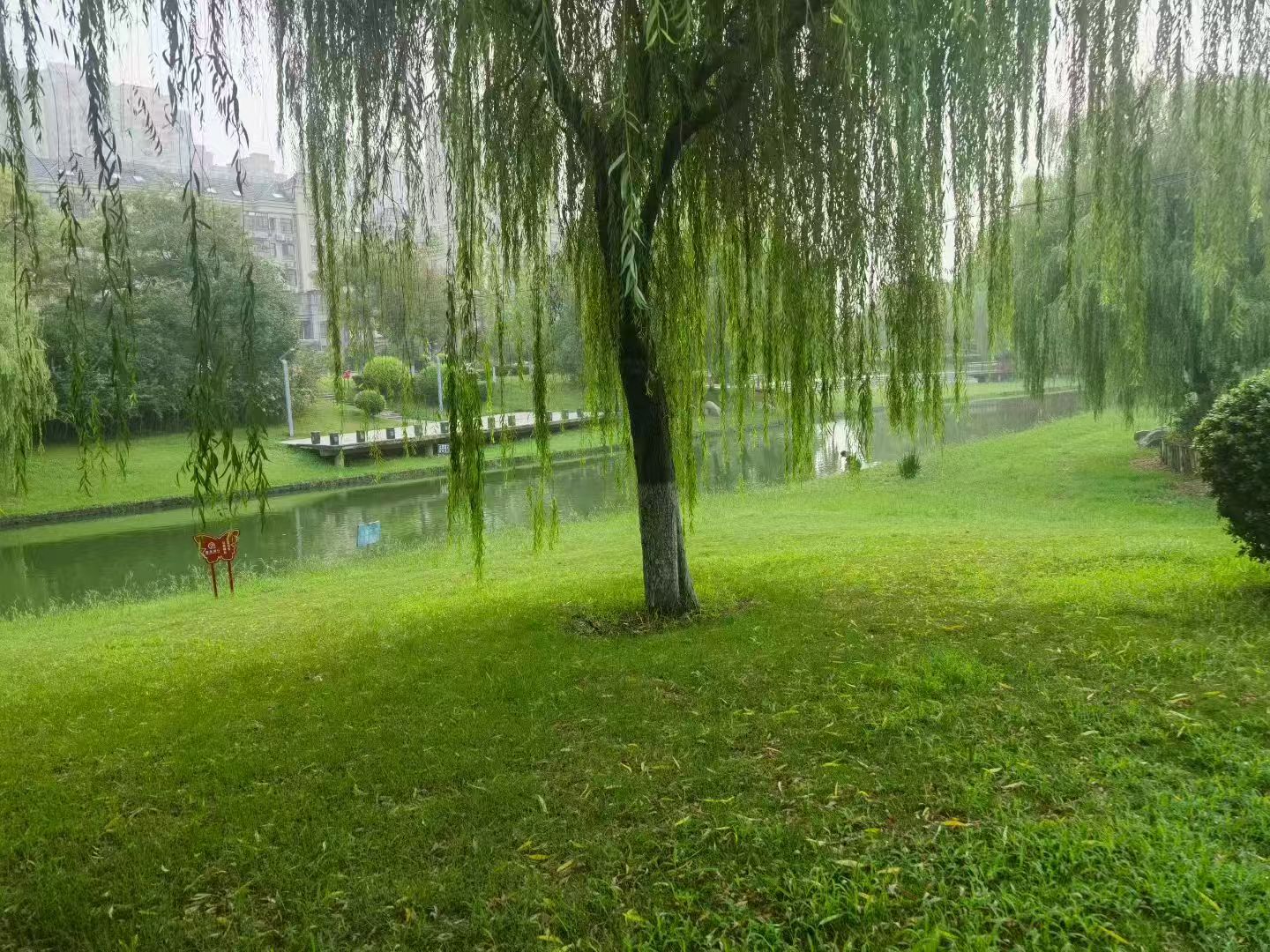 郑州暴雨侵袭：法律视角下的灾害应对与权益保障