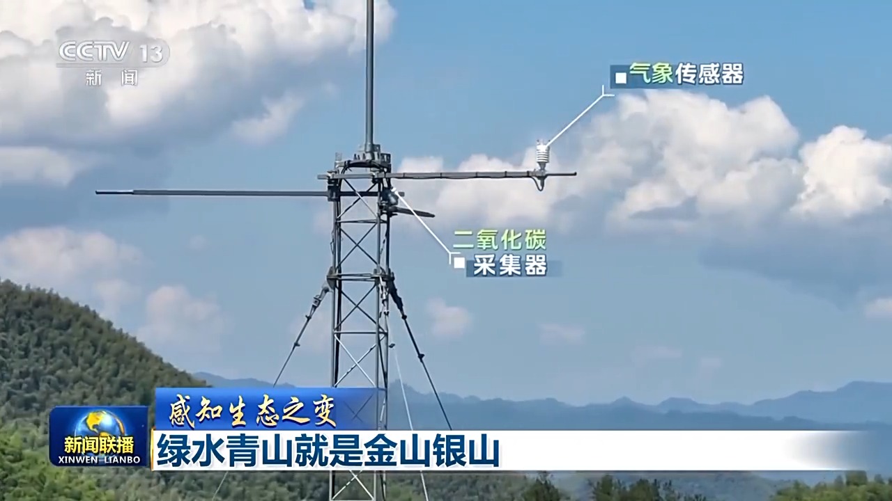 感知生态之变丨绿水青山就是金山银山(图1)