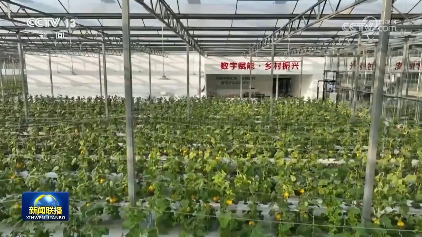 【新思想引领新征程】数字乡村建设助力农业农村现代化(图1)