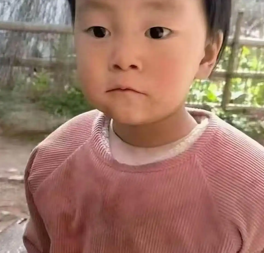 湖南 2 岁女童家门口失踪：法律视角下的搜救与责任