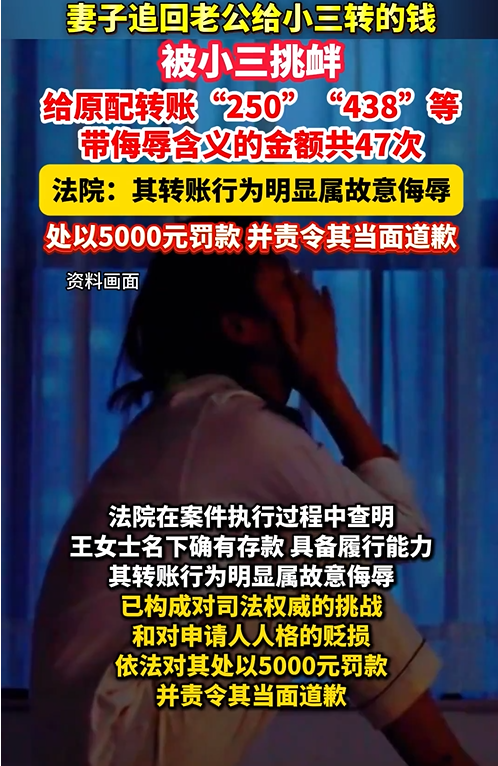 用 250 元等侮辱性转账 宁乡一被执行人被罚 5000 元(图1)