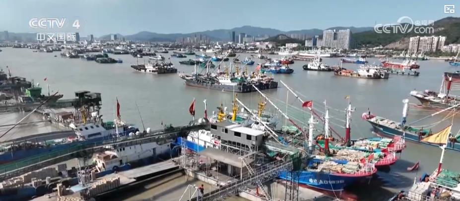 千舟竞发争 “鲜”！东海全面开渔 壮观场面喜迎丰收季(图2)